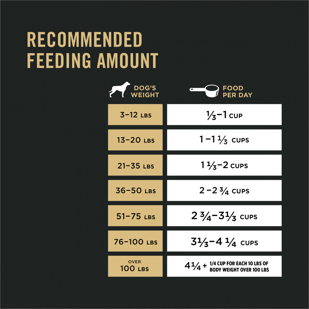 ProPlan Sensitive Skin & Stomach Turkey and Oatmeal Dry Dog Food