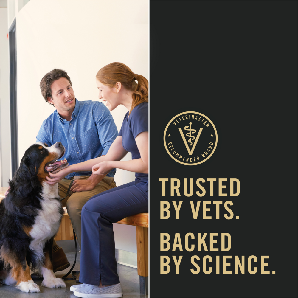 
                  
                    Purina Pro Plan Specialized Shredded Blend Beef & Rice Formula High Protein Small Breed Dry Dog Food
                  
                