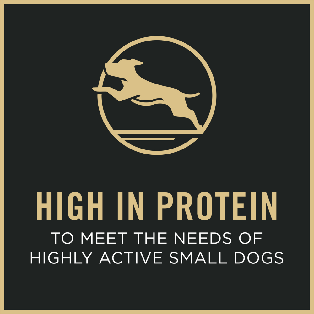 Purina Pro Plan Shredded Blend Beef and Rice Small Breed Dry Dog Food
