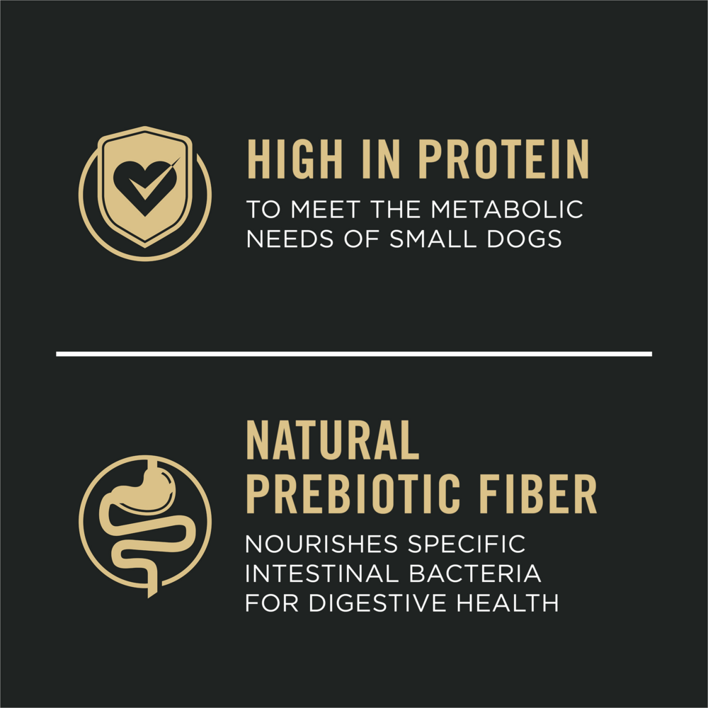 
                  
                    Purina Pro Plan Sensitive Skin & Stomach Small Breed Salmon & Rice Formula Dry Dog Food
                  
                