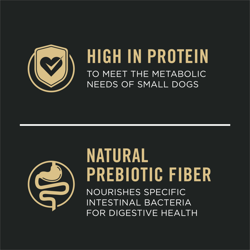 Purina Pro Plan Sensitive Skin & Stomach Salmon and Rice Small Breed Dry Dog Food