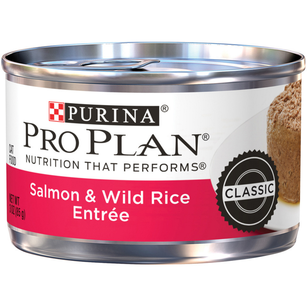 
                  
                    Purina Pro Plan Pate Salmon & Wild Rice Entree Wet Cat Food
                  
                