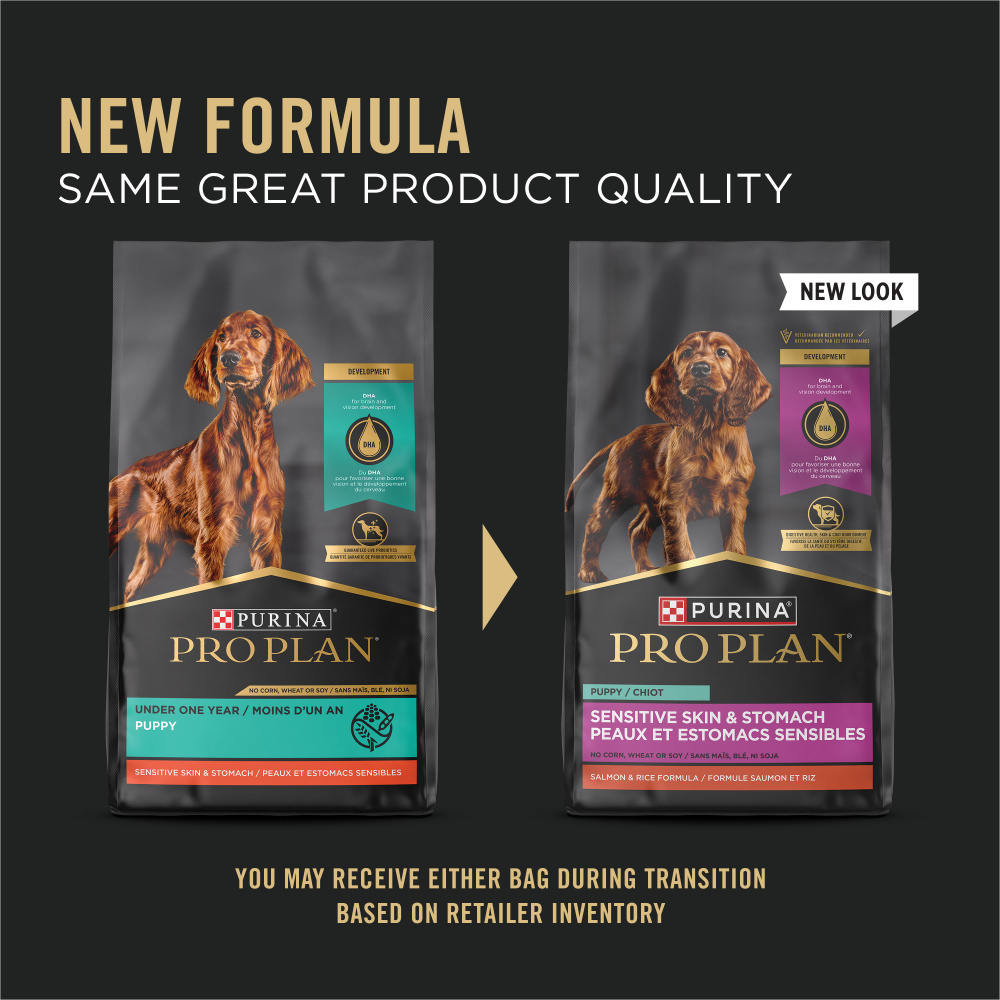 
                  
                    Purina Pro Plan Sensitive Stomach Sensitive Skin & Stomach Salmon & Rice Formula Dry Puppy Food
                  
                