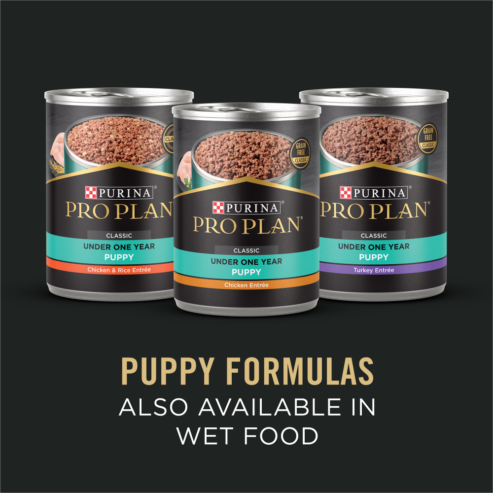 Purina Pro Plan Sensitive Skin & Stomach Formula Salmon & Rice Dry Puppy Food, 4 lbs