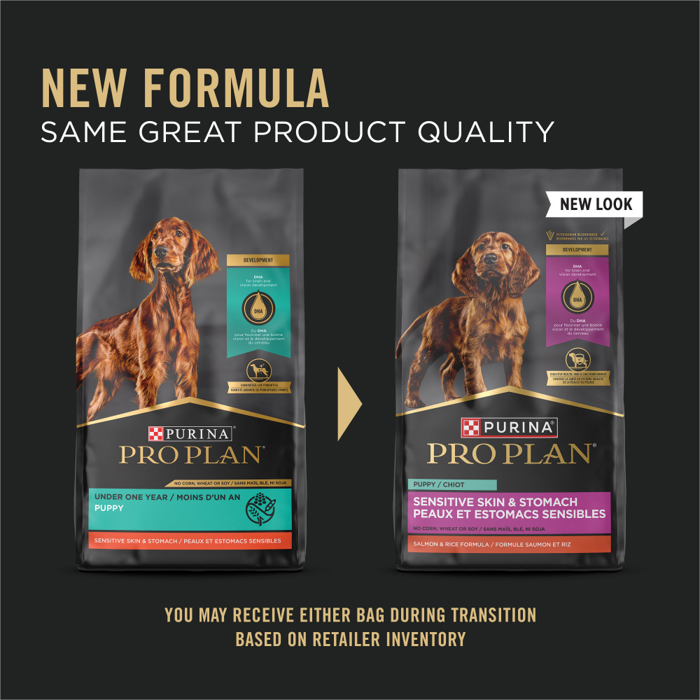 ProPlan Sensitive Skin & Stomach Salmon and Rice Dry Puppy Food