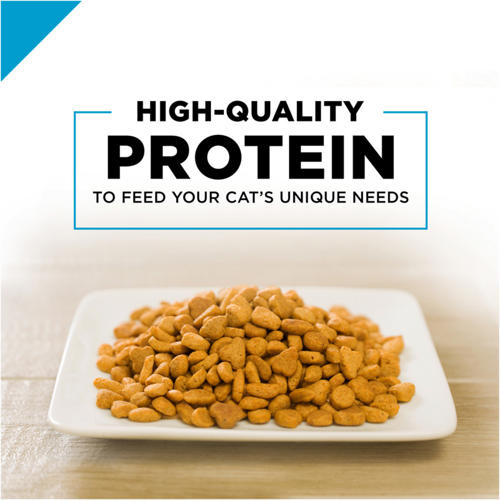 
                  
                    Purina Pro Plan Focus Probiotics Sensitive Skin & Stomach Turkey & Oat Meal Natural Dry Cat Food
                  
                