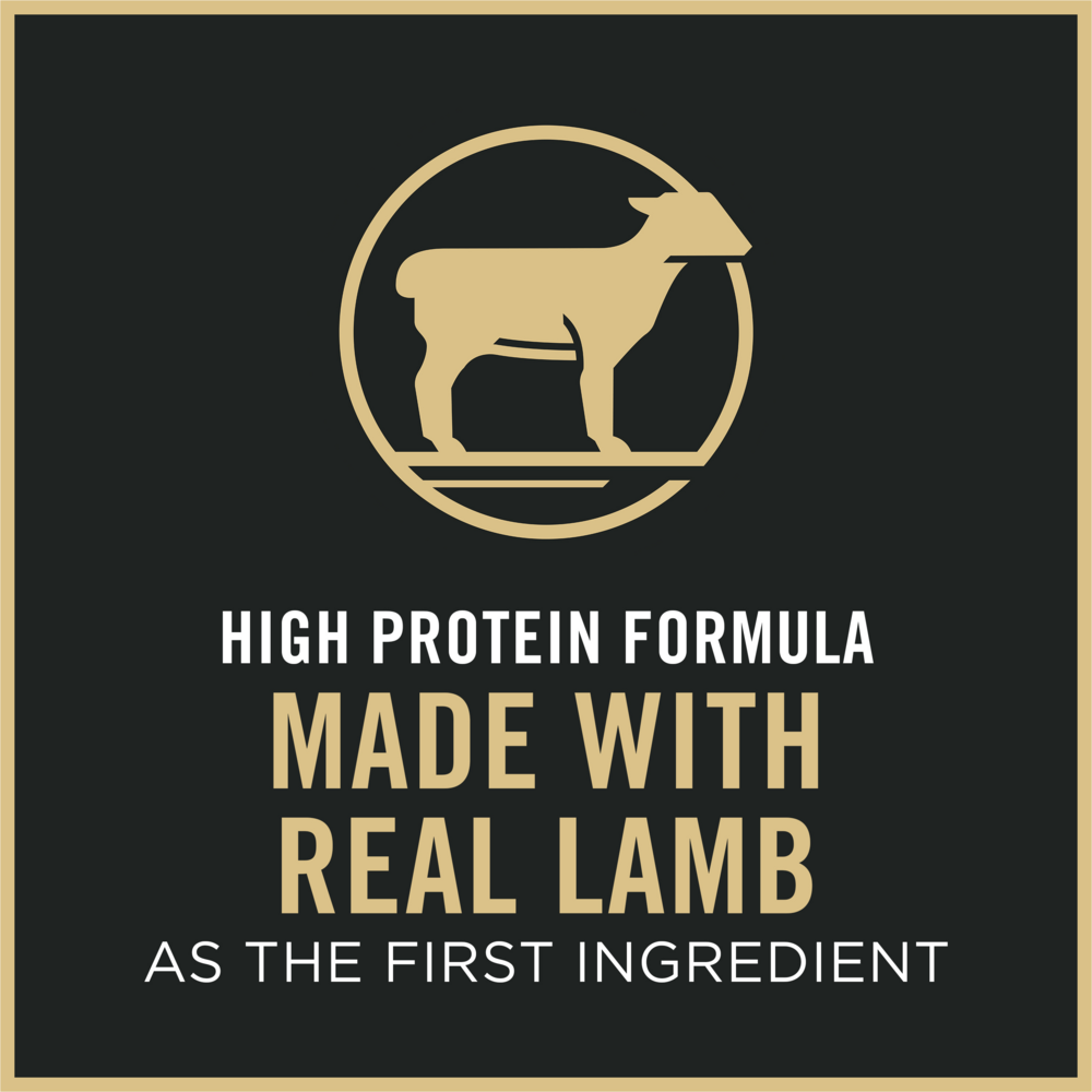 
                  
                    Purina Pro Plan Probiotics Sensitive Skin & Stomach Turkey & Oat Meal Natural Dry Cat Food
                  
                