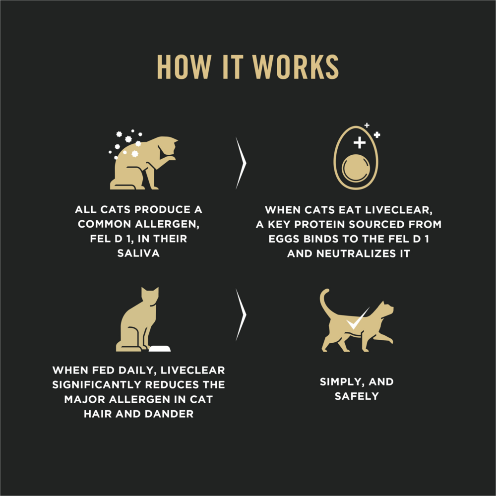 
                  
                    Purina Pro Plan Prime Plus Chicken & Rice Formula Senior Dry Cat Food
                  
                