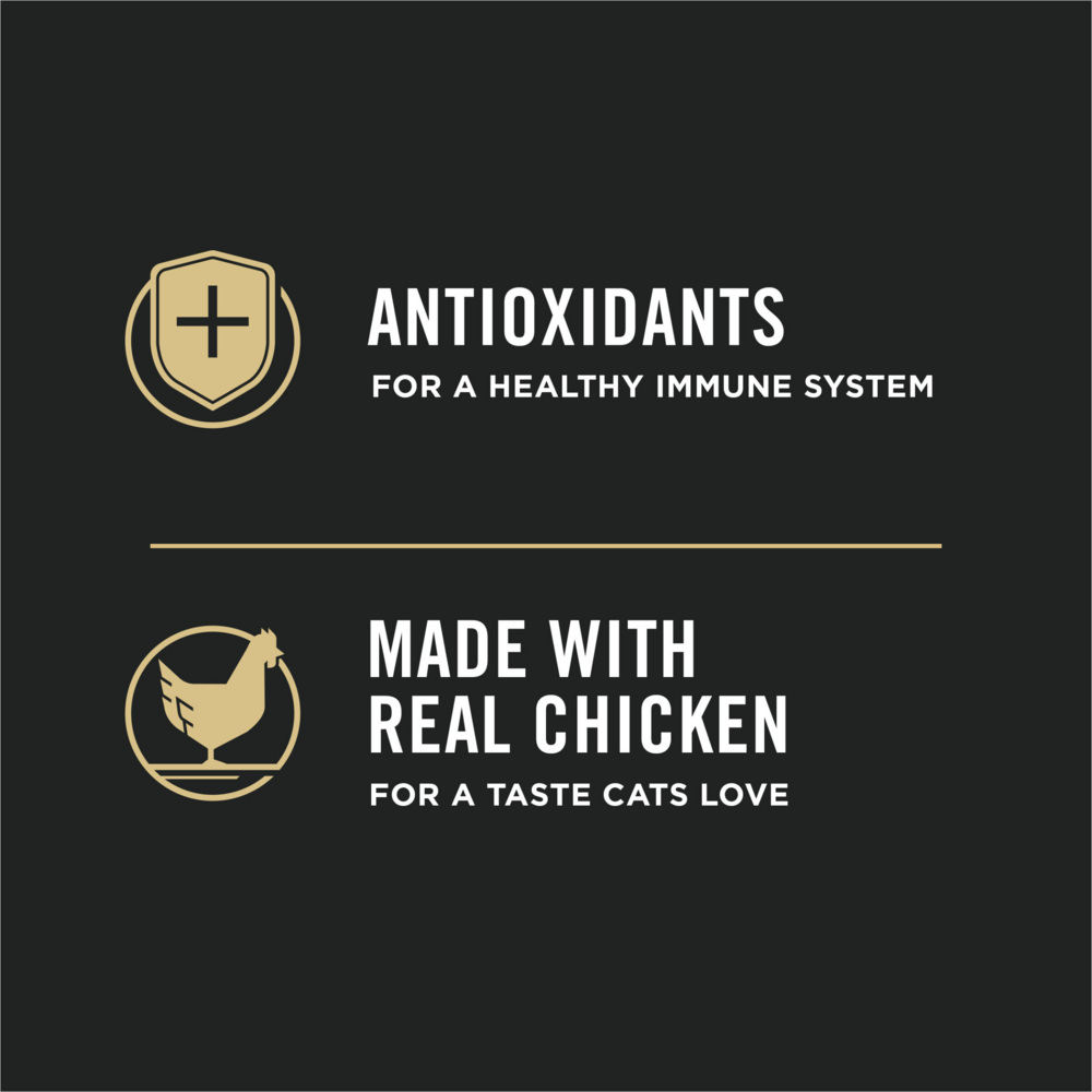 
                  
                    Purina Pro Plan Prime Plus Chicken & Rice Formula Senior Dry Cat Food
                  
                