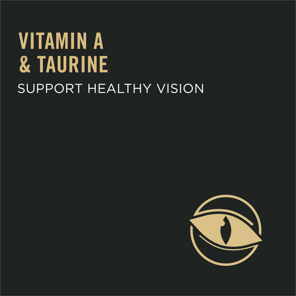 
                  
                    Purina Pro Plan Prime Plus Chicken & Rice Formula Senior Dry Cat Food
                  
                