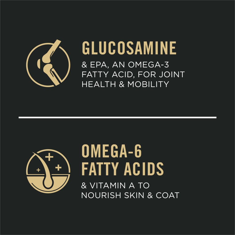 
                  
                    Purina Pro Plan Bright Mind 7 plus Chicken & Rice Formula Dry Dog Food
                  
                