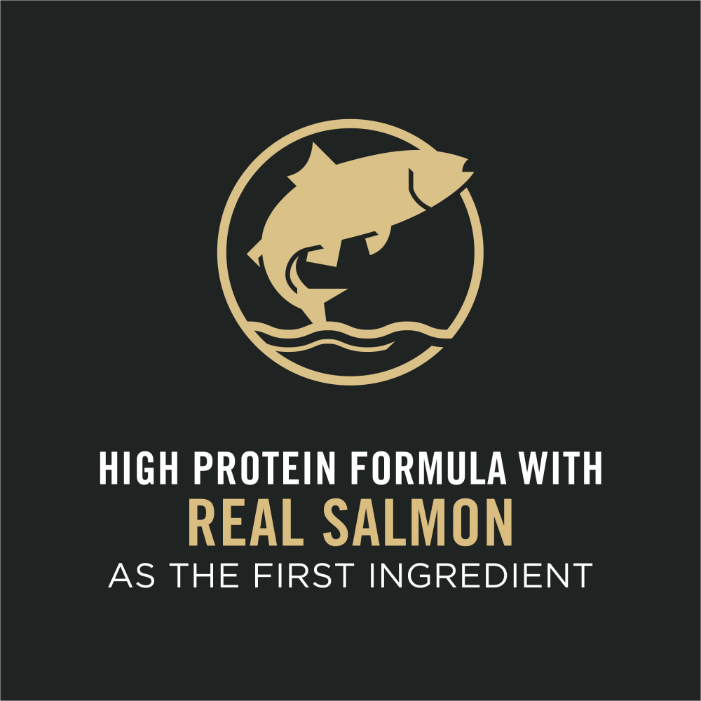Purina Pro Plan Sensitive Skin & Stomach Salmon and Rice Large Breed Dry Puppy Food