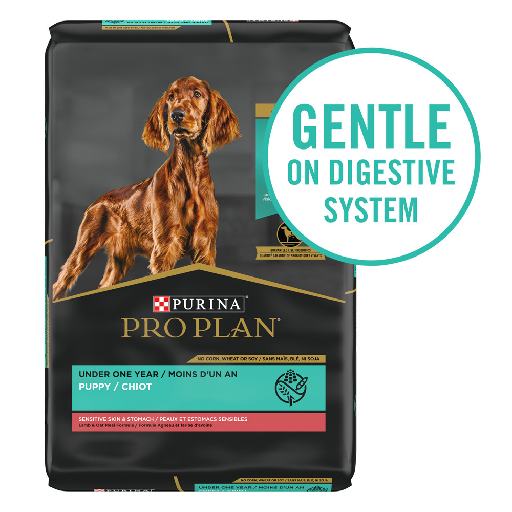 
                  
                    Purina Pro Plan Sensitive Skin & Stomach Lamb & Oat Meal Sensitive Stomach Dry Puppy Food
                  
                