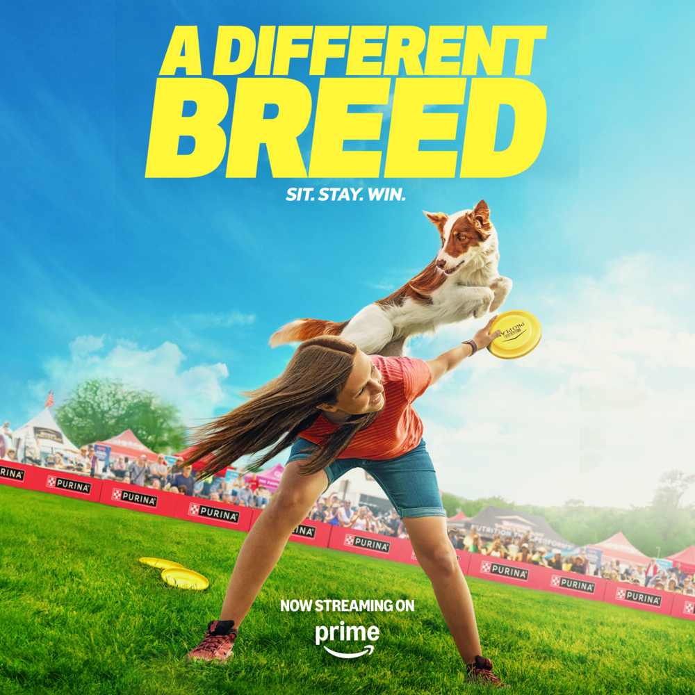 ProPlan Shredded Blend Weight Management Chicken and Rice Dry Dog Food
