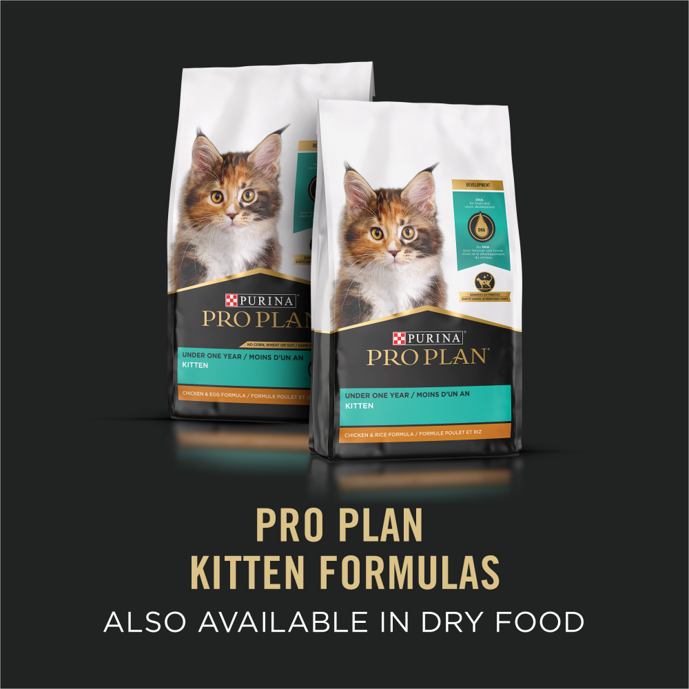 
                  
                    Purina Pro Plan Grain-Free Pate Salmon & Tuna Entree Pull-Top Can Wet Kitten Food
                  
                