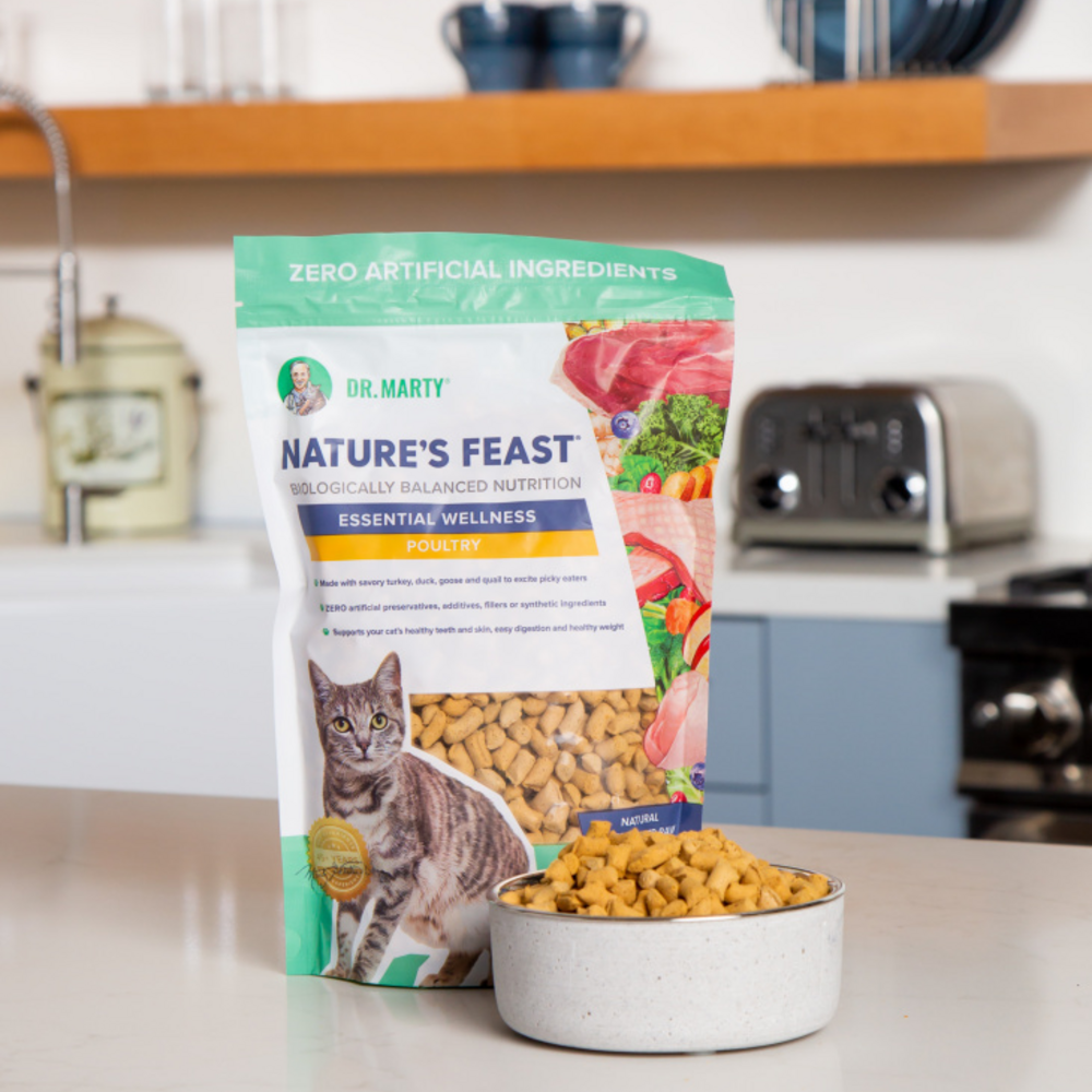 
                  
                    Dr. Marty Nature's Feast Essential Wellness  Poultry Freeze Dried Raw Cat Food
                  
                