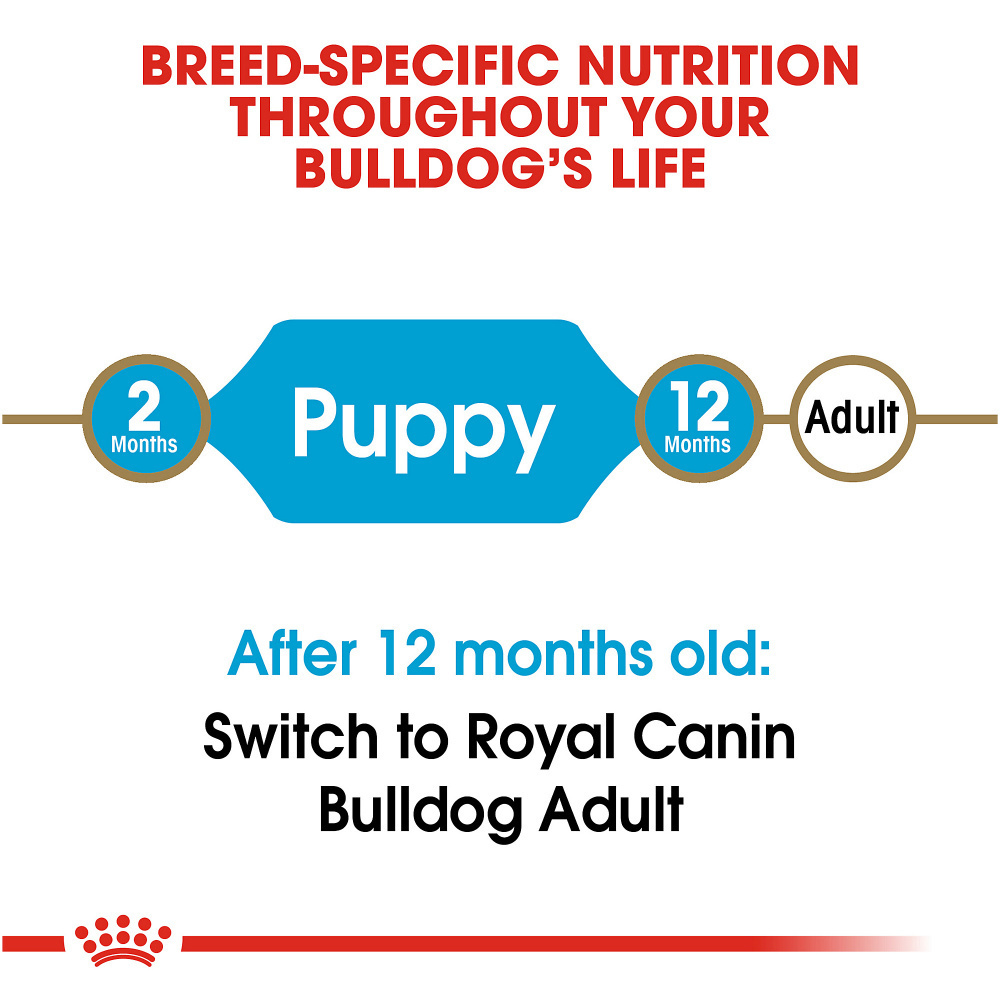 
                  
                    Royal Canin Breed Health Nutrition Bulldog Puppy Dry Dog Food
                  
                