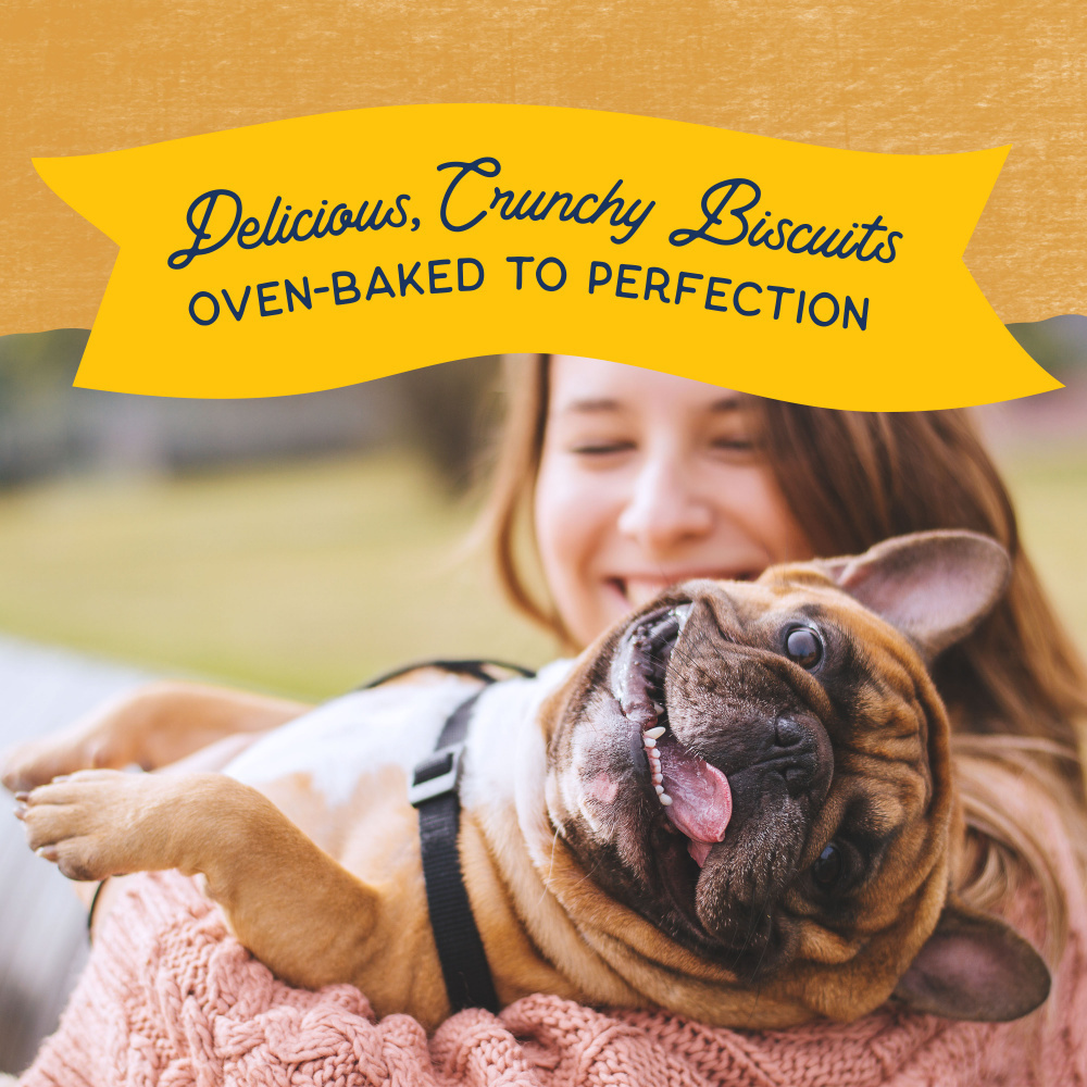 
                  
                    Natural Balance Rewards Crunchy Biscuits With Real Duck Dog Treats
                  
                