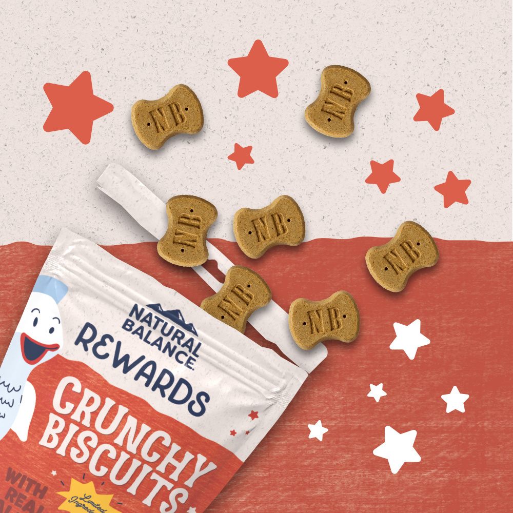 
                  
                    Natural Balance Rewards Crunchy Biscuits With Real Salmon Small Breed  Dog Treats
                  
                