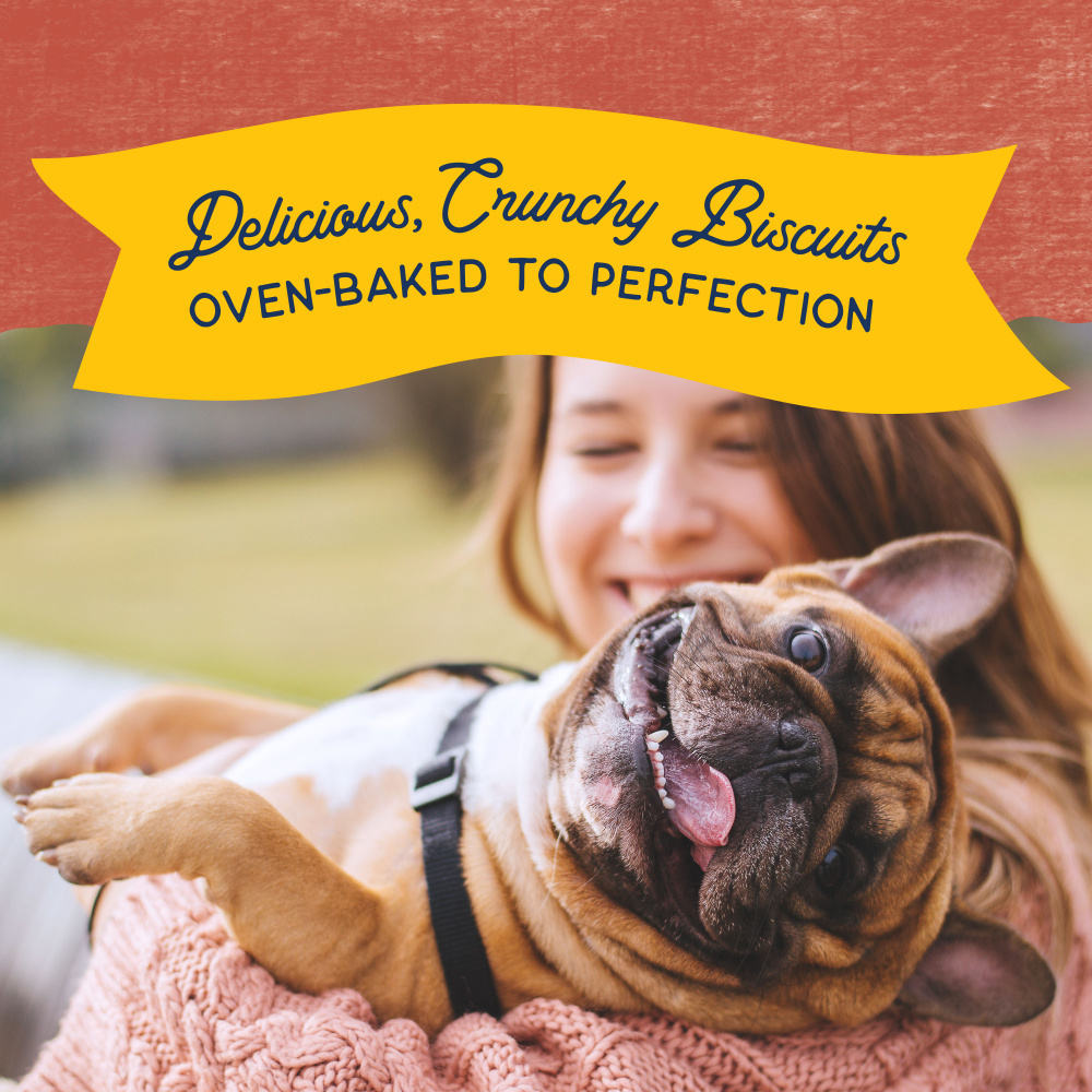 
                  
                    Natural Balance Rewards Crunchy Biscuits With Real Salmon Small Breed  Dog Treats
                  
                