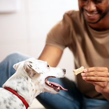 Load image into Gallery viewer, Milk-Bone Original Medium Dog Biscuits