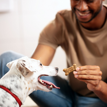 Load image into Gallery viewer, Milk-Bone Flavor Snacks for Small/Medium Dogs