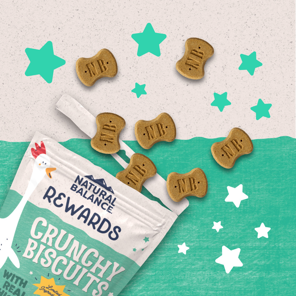 
                  
                    Natural Balance Rewards Crunchy Biscuits With Real Chicken Dog Treats
                  
                