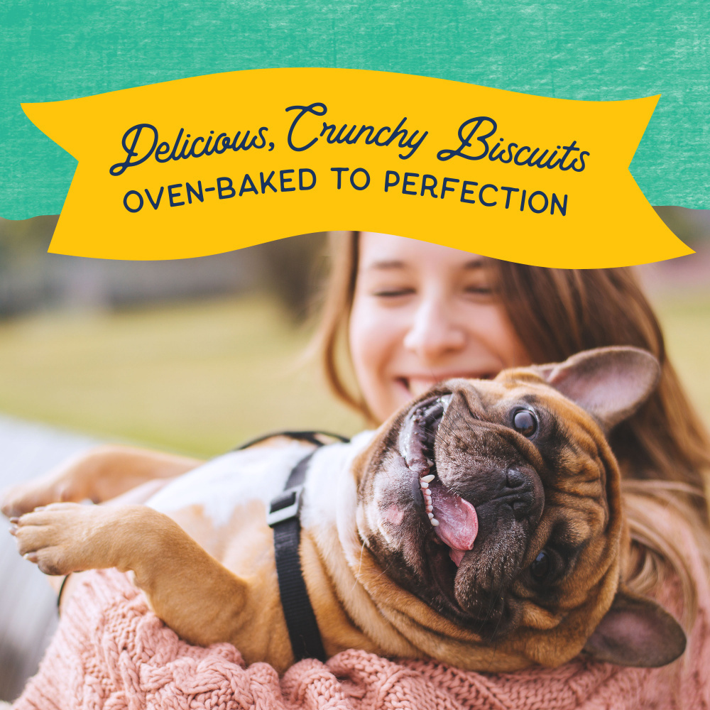 
                  
                    Natural Balance Rewards Crunchy Biscuits With Real Chicken Dog Treats
                  
                