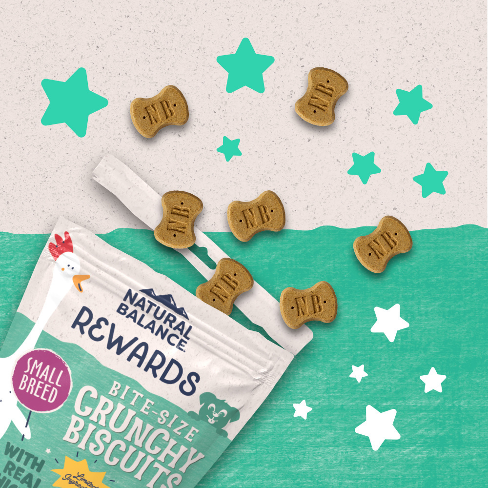 
                  
                    Natural Balance Rewards Crunchy Biscuits With Real Chicken Dog Treats
                  
                