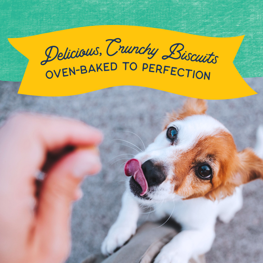 
                  
                    Natural Balance Rewards Crunchy Biscuits With Real Chicken Dog Treats
                  
                