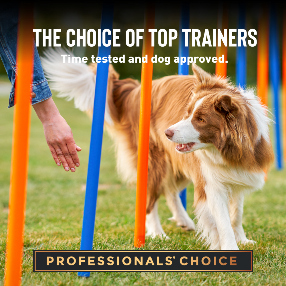 
                  
                    Cloud Star Tricky Trainers Soft & Chewy Cheddar Dog Treats
                  
                