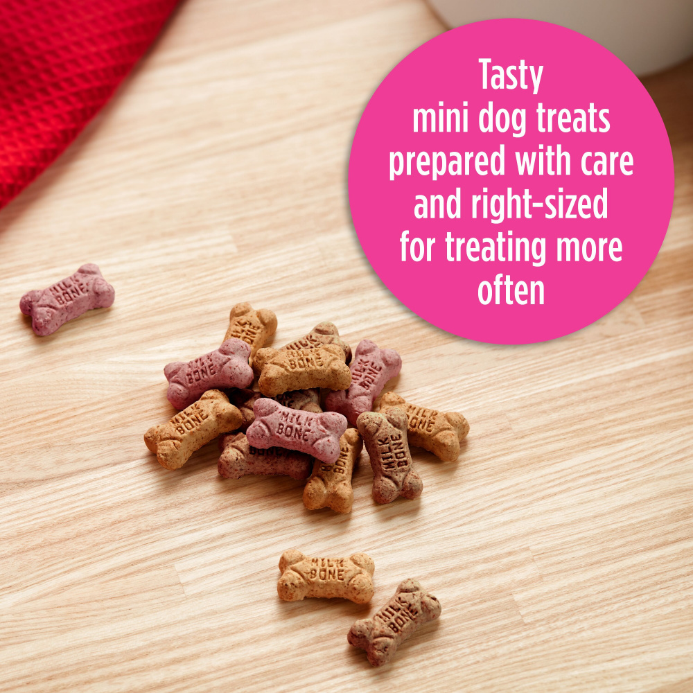 
                  
                    Milk-Bone Flavor Snacks Mini
                  
                