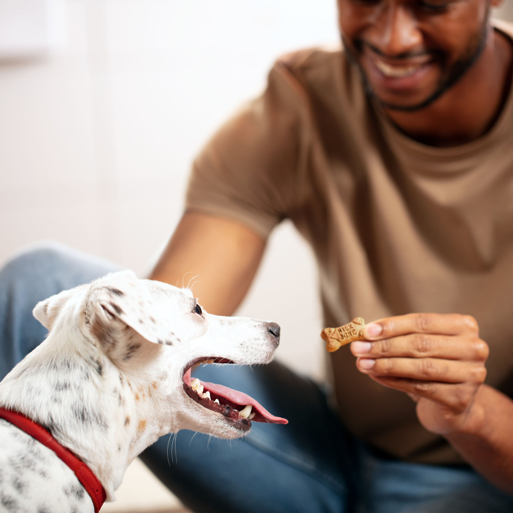 
                  
                    Milk-Bone Flavor Snacks Mini
                  
                