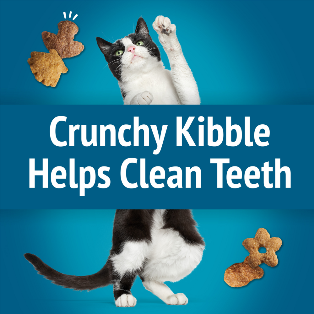 
                  
                    Friskies Party Mix Beachside Crunch Cat Treats
                  
                