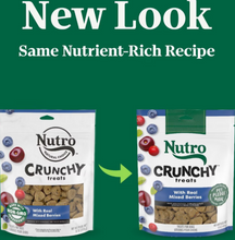 Load image into Gallery viewer, Nutro Crunchy Treats with Real Mixed Berries Dog Treats