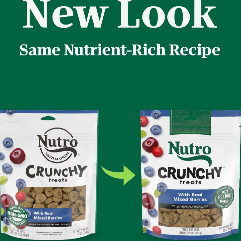 
                  
                    Nutro Crunchy Treats with Real Mixed Berries Dog Treats
                  
                