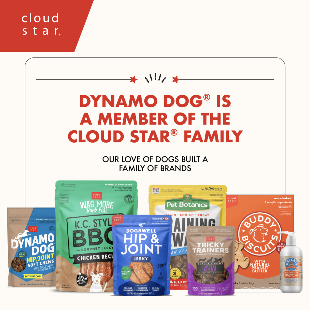 Cloud Star Dynamo Dog Functional Soft Chews Skin and Coat Salmon Dog Treats