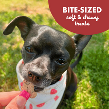 Load image into Gallery viewer, Buddy Biscuits Softies Soft &amp; Chewy Grain Free Beef Dog Treats