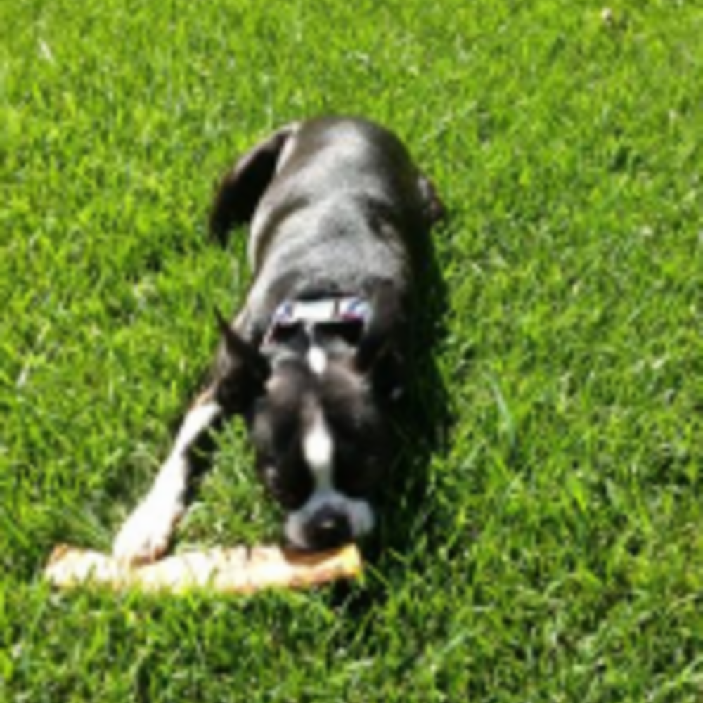 
                  
                    Nature's Own USA Smoked Jumbo Rib for Dogs
                  
                