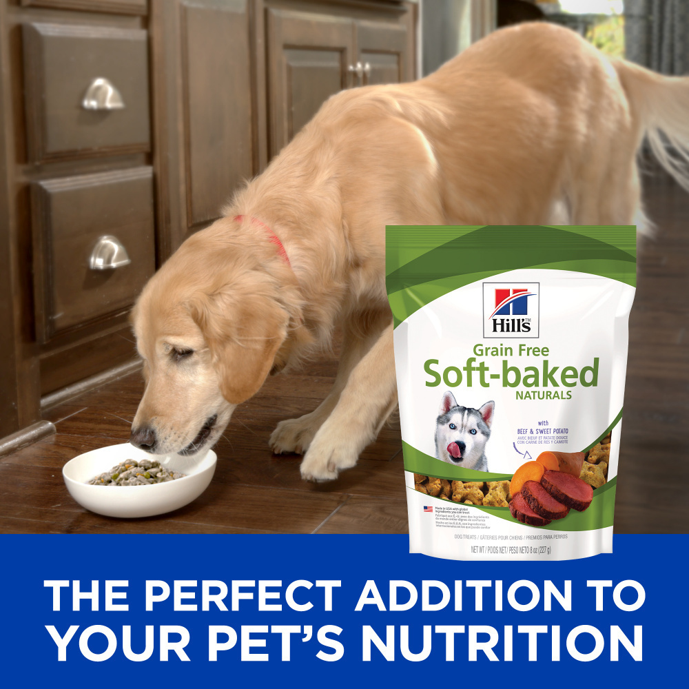 
                  
                    Hill's Science Diet Soft-Baked Naturals with Beef & Sweet Potatoes Dog Treats
                  
                