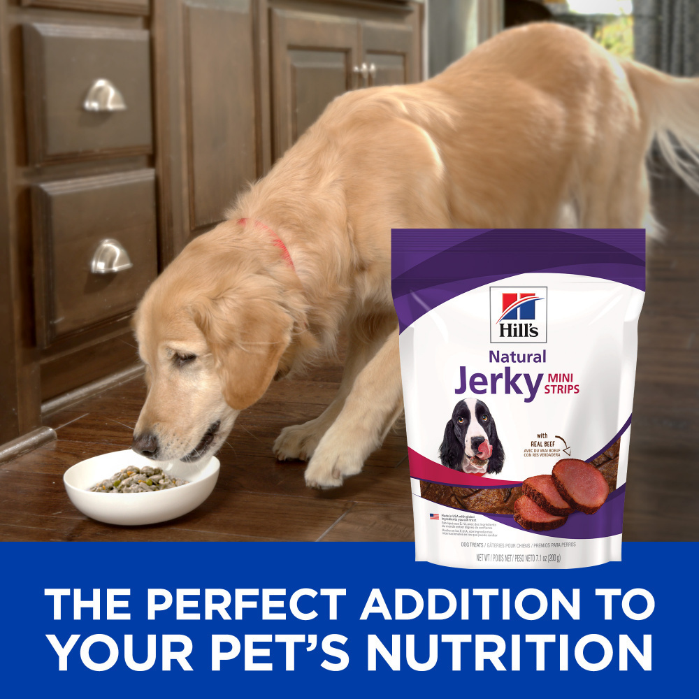 
                  
                    Hill's Science Diet Beef Jerky Dog Treats
                  
                