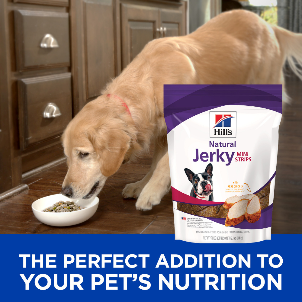 
                  
                    Hill's Science Diet Chicken Jerky Dog Treats
                  
                