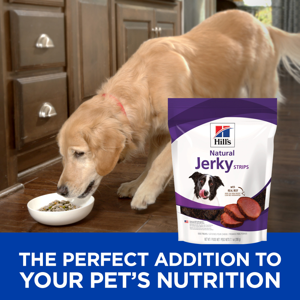 
                  
                    Hill's Science Diet Beef Jerky Strips Dog Treats
                  
                