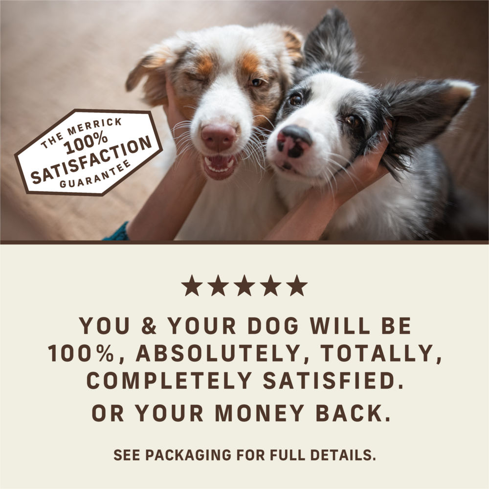 
                  
                    Merrick Power Bites Grain Free Chicken Recipe Dog Treats
                  
                