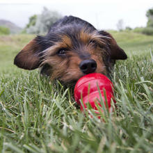 Load image into Gallery viewer, KONG Bacon &amp; Cheese Easy Treat for Dogs