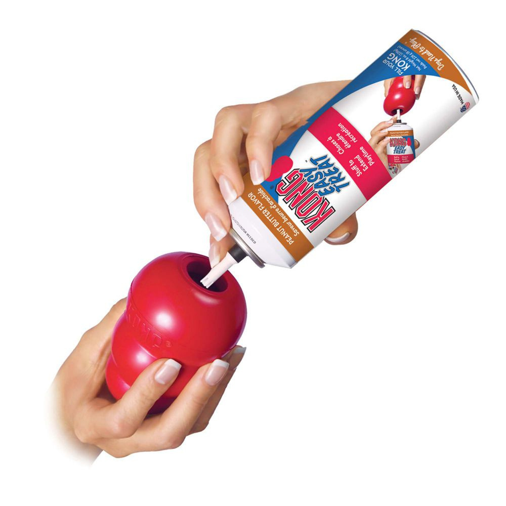 
                  
                    Kong Peanut Butter Easy Treat for Dogs
                  
                