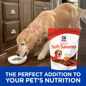 Hill's Science Diet Soft Savories Beef & Cheddar Dog Treats