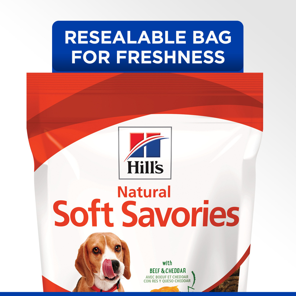 
                  
                    Hill's Science Diet Soft Savories Beef & Cheddar Dog Treats
                  
                