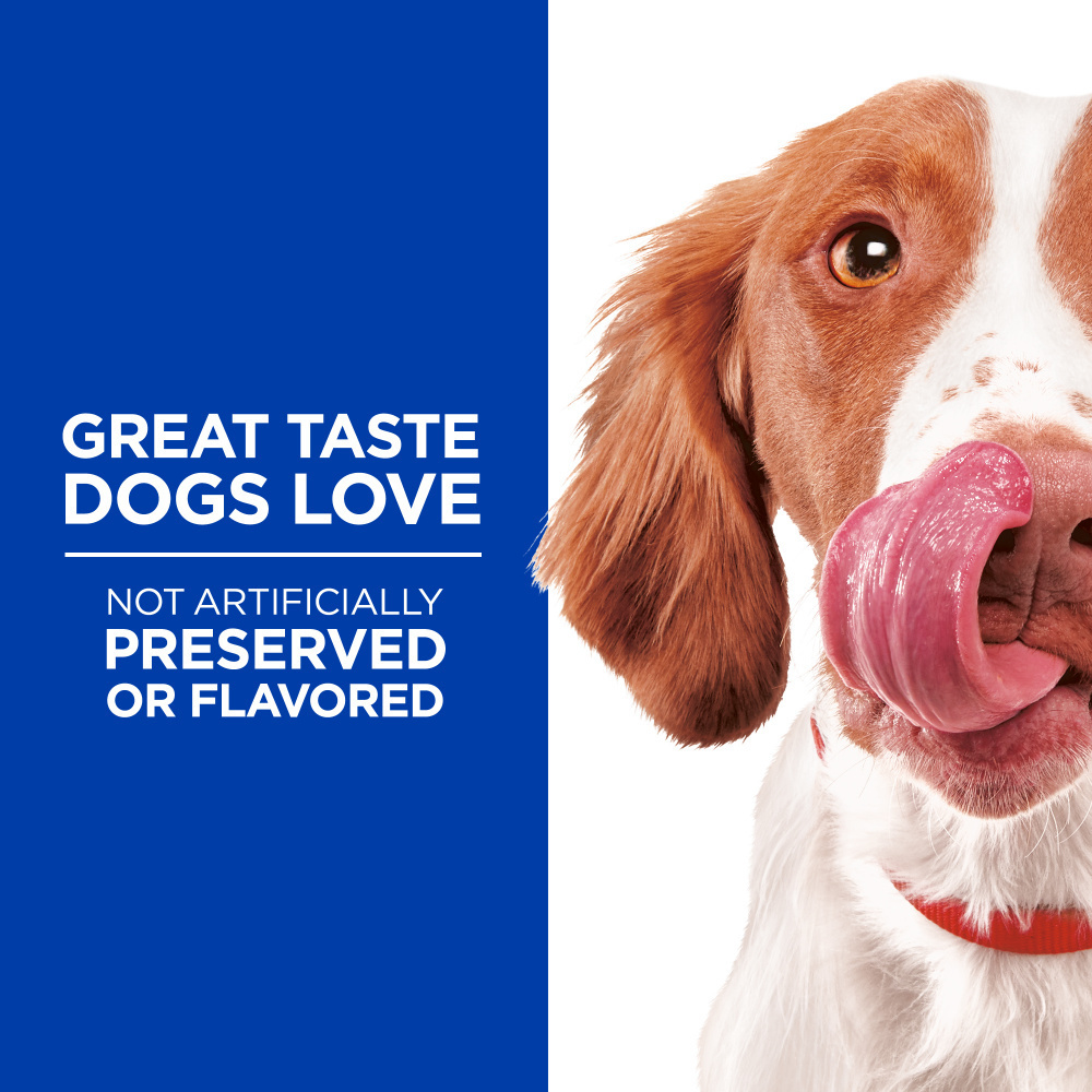 
                  
                    Hill's Science Diet Grain Free with Chicken & Apples Dog Treats
                  
                