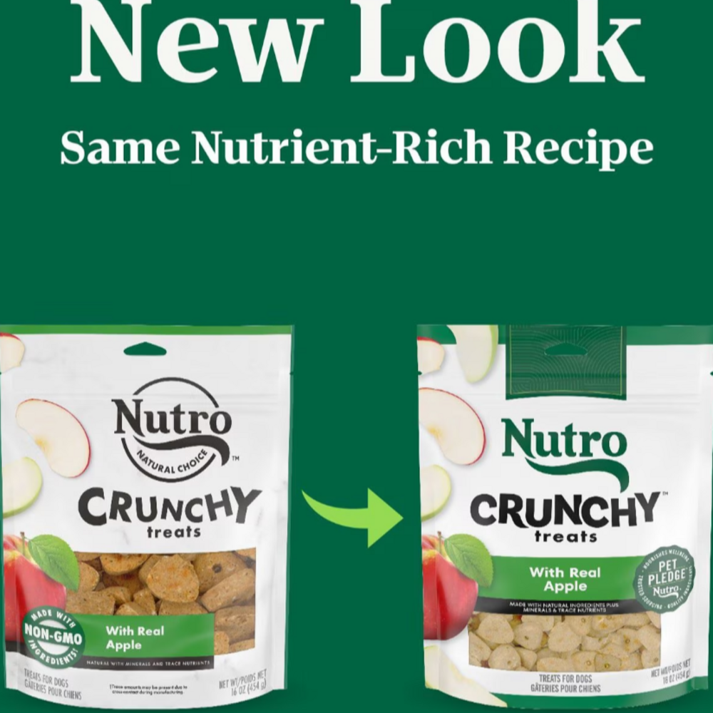 
                  
                    Nutro Crunchy Treats with Real Apple Dog Treats
                  
                